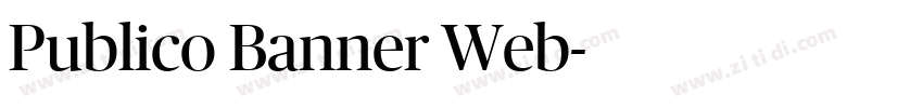 Publico Banner Web字体转换